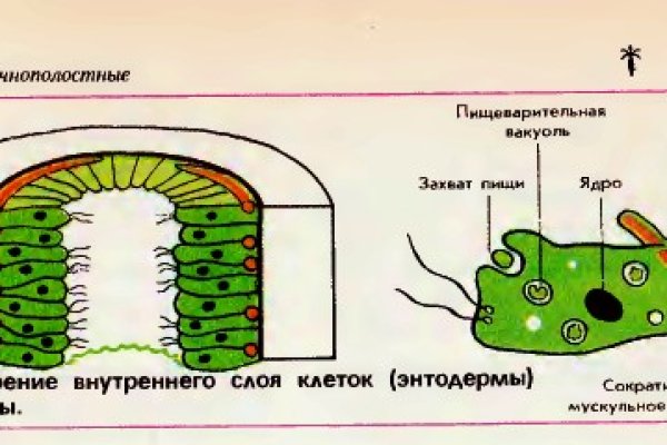 Ссылки на кракен маркетплейс тг