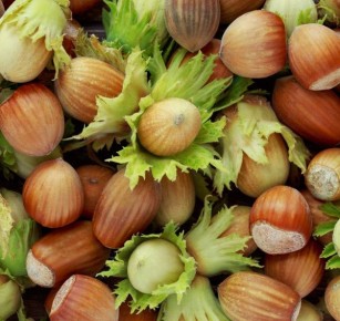 Польза орехов: всё, что нужно знать о здоровье и этикете