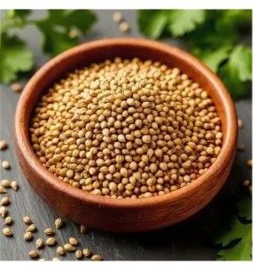 Кориандр: мощный союзник для вашего здоровья и кулинарии