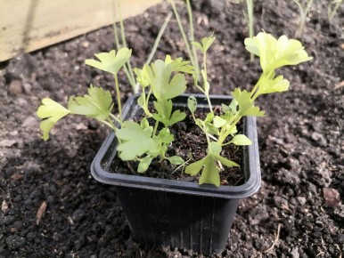 ����� ����� ����� ���������� ������� ���������?