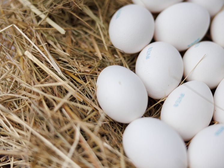 Как сварить яйца так, чтобы они легко чистились и не портил настроение утренний завтрак