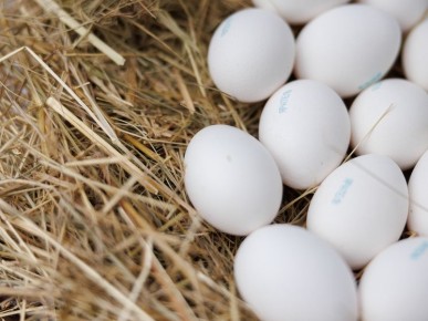 ��� ������� ���� ���, ����� ��� ����� ��������� � �� ������ ���������� �������� �������