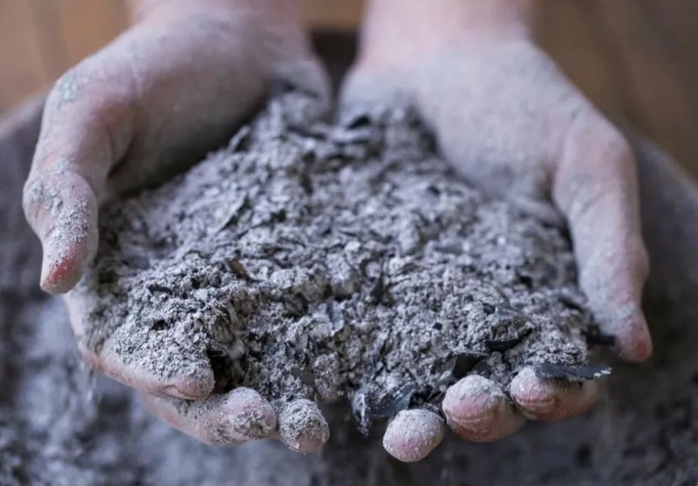 Как древесная зола может навредить вашему огороду: избегайте этих ошибок