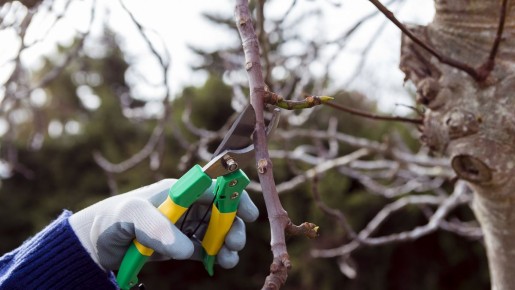 ��� ��������� �������� ������, ����� � ����� ������