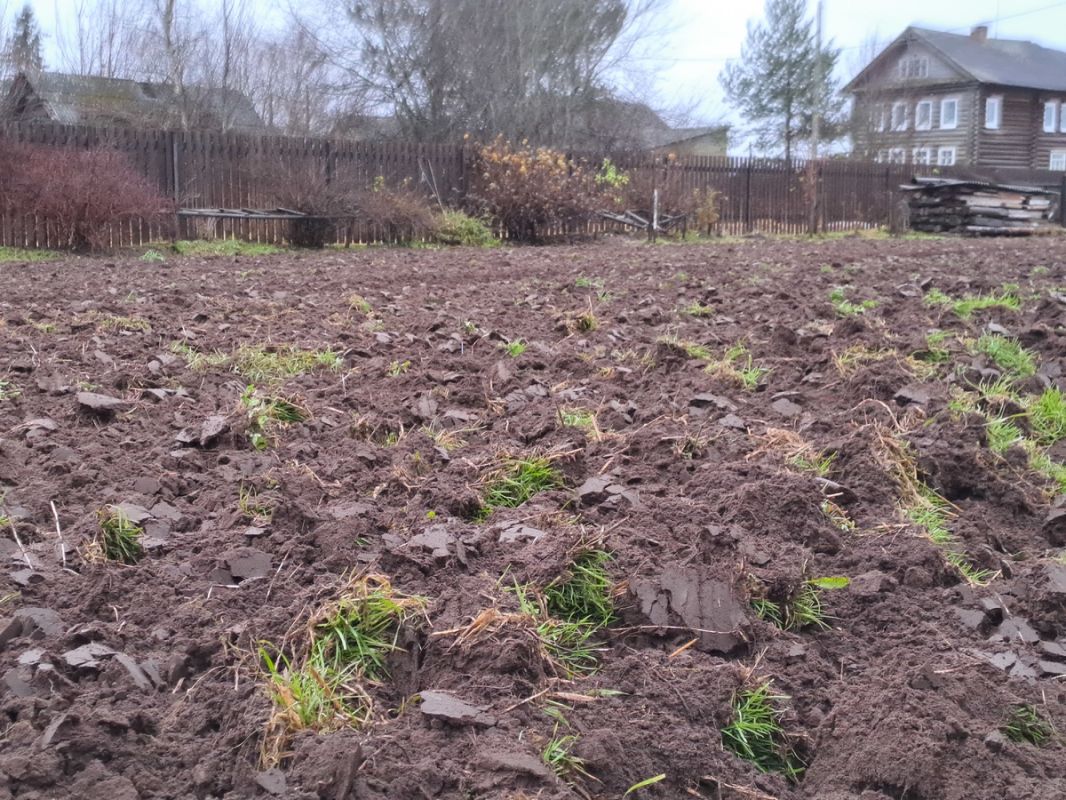 Осенняя вспашка: секрет успешного урожая для вашего огорода