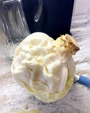 Готовим голубцы и квашеную капусту в осеннем стиле