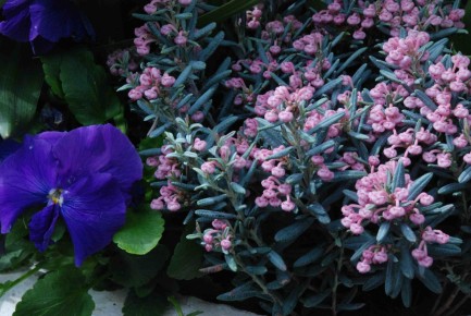 ��������� ������������: ������������ ��������� ��� ������ ����