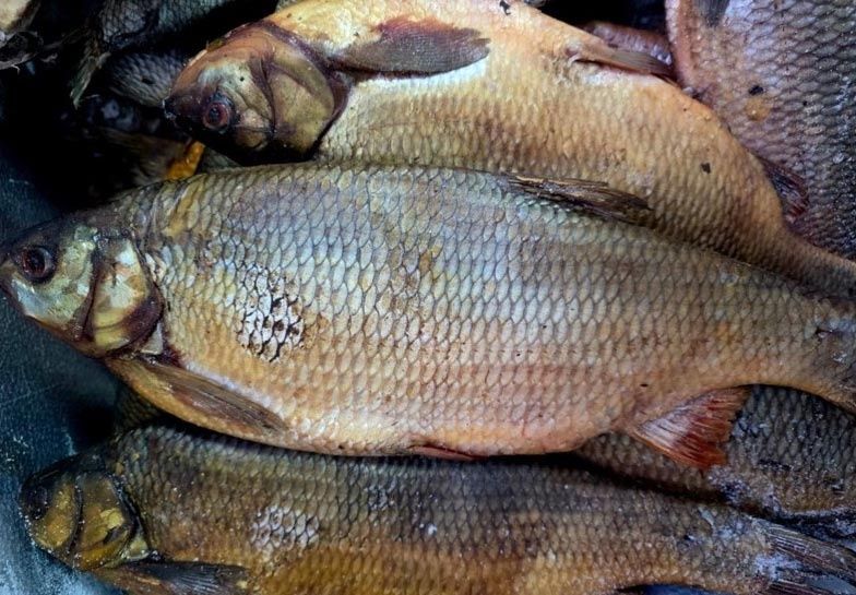 ������� ������������: ��� �������� ���� �������