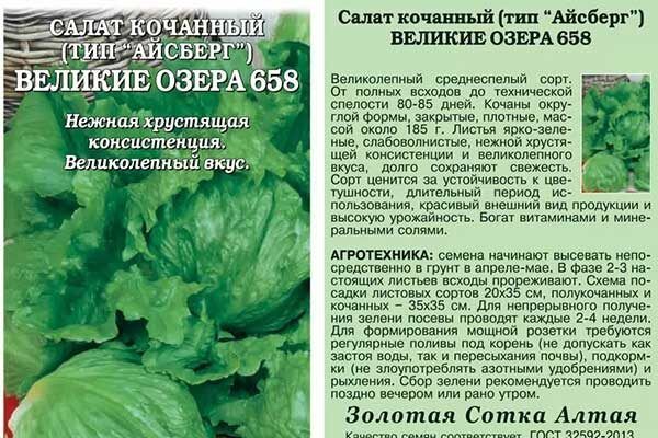 ����������� ������ ������� ����: �������� � ������ �� ������� �����������