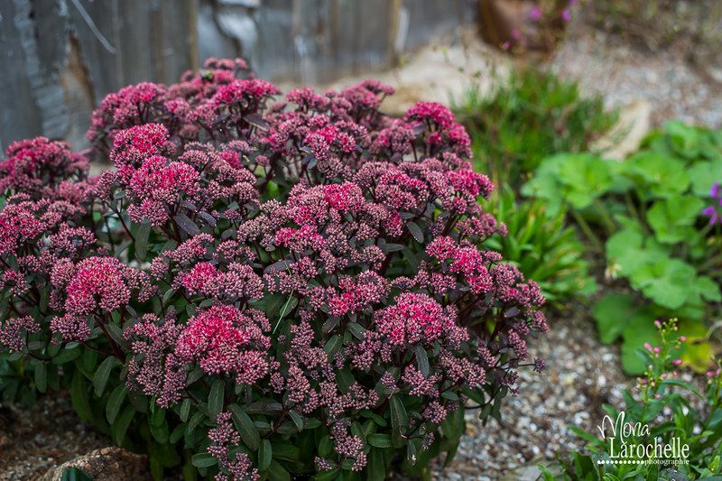 ��� ��� �����: 10 �������� ��� ��������������� ������������ �������