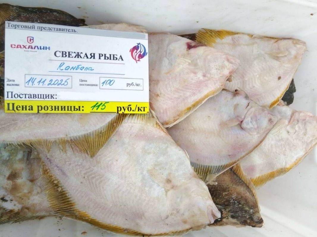 Где сегодня купить камбалу по привлекательной цене