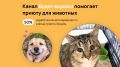 Канал помогает приюту ЗООДОМ: первая благотворительная поддержка