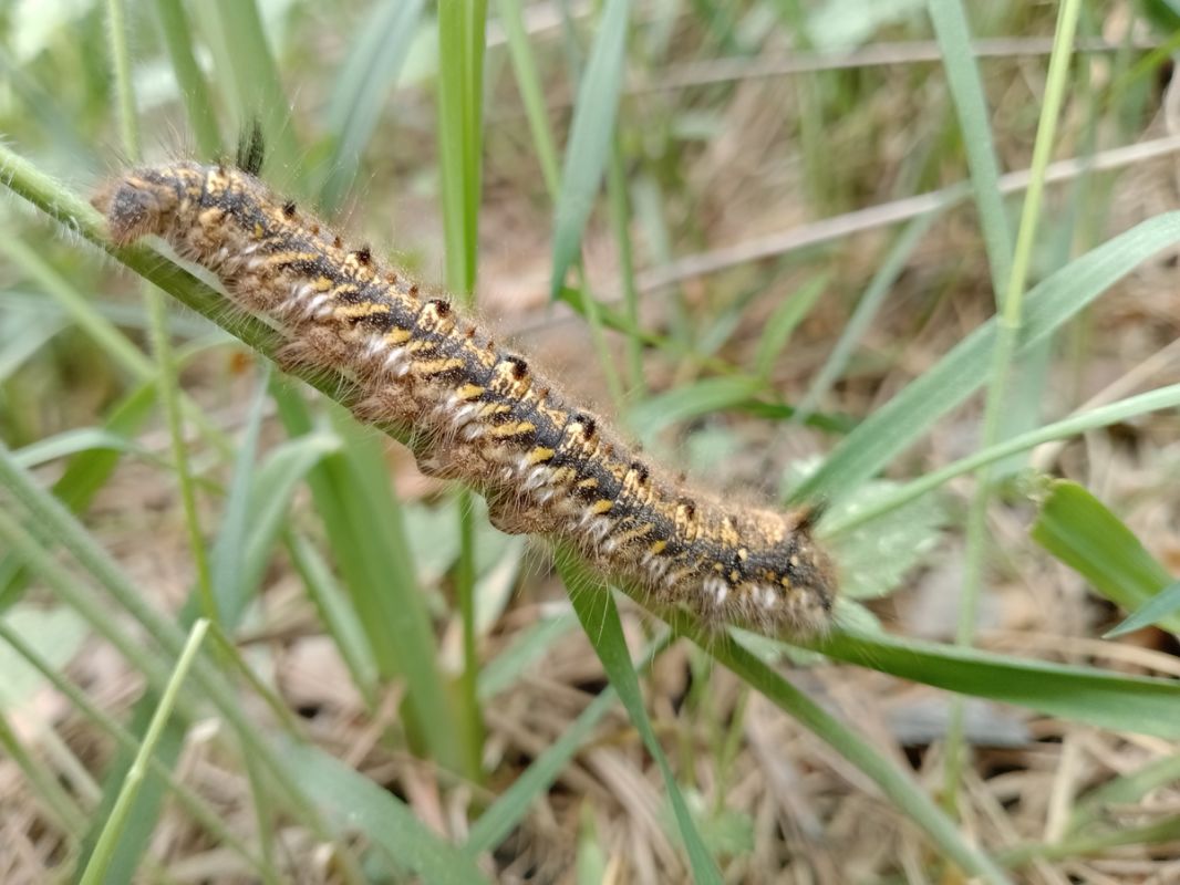 ����� ��������: ������� ��� �������� ��������