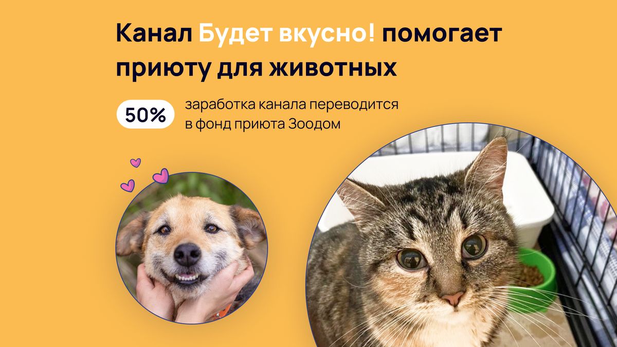 Канал помогает приюту ЗООДОМ: первая благотворительная поддержка
