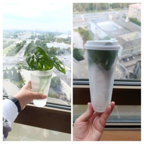 Исследуем мир замороженных продуктов: мифы и реалии