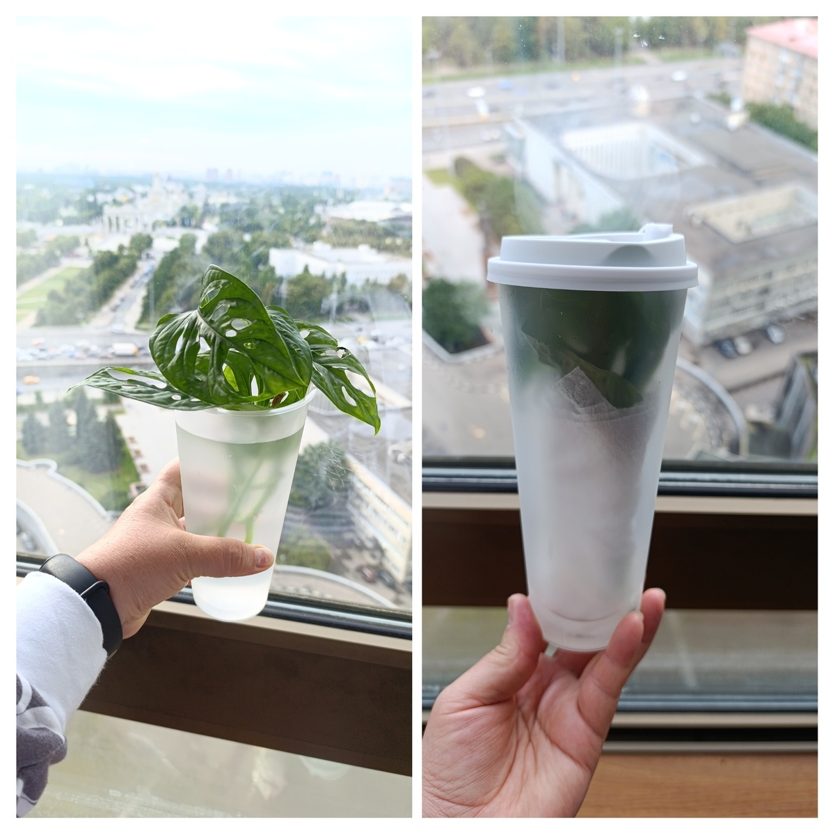 Исследуем мир замороженных продуктов: мифы и реалии