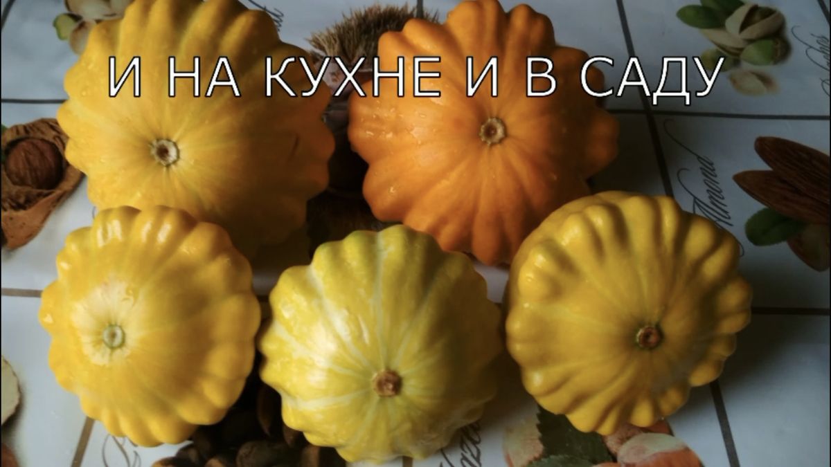 ������������ ���������: ��������� ������