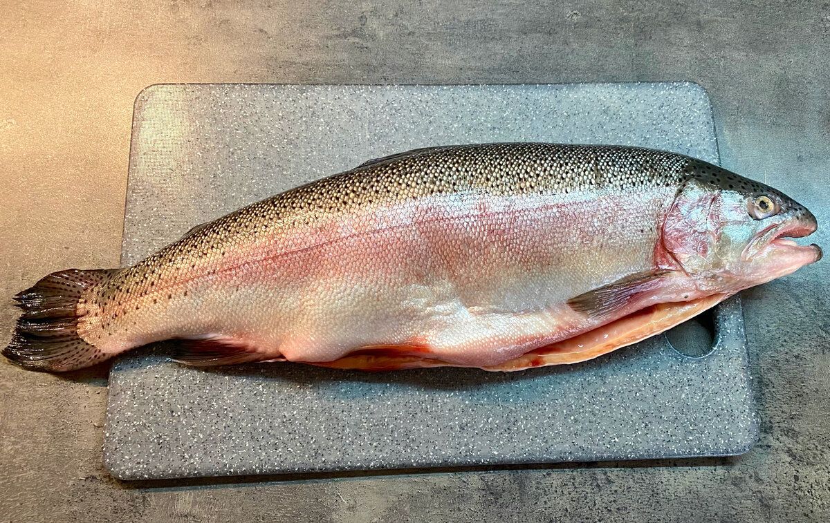 Изящный рецепт засолки форели: идеальное блюдо для любого стола