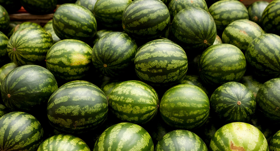 Мифы и факты об арбузах, которые стоит знать