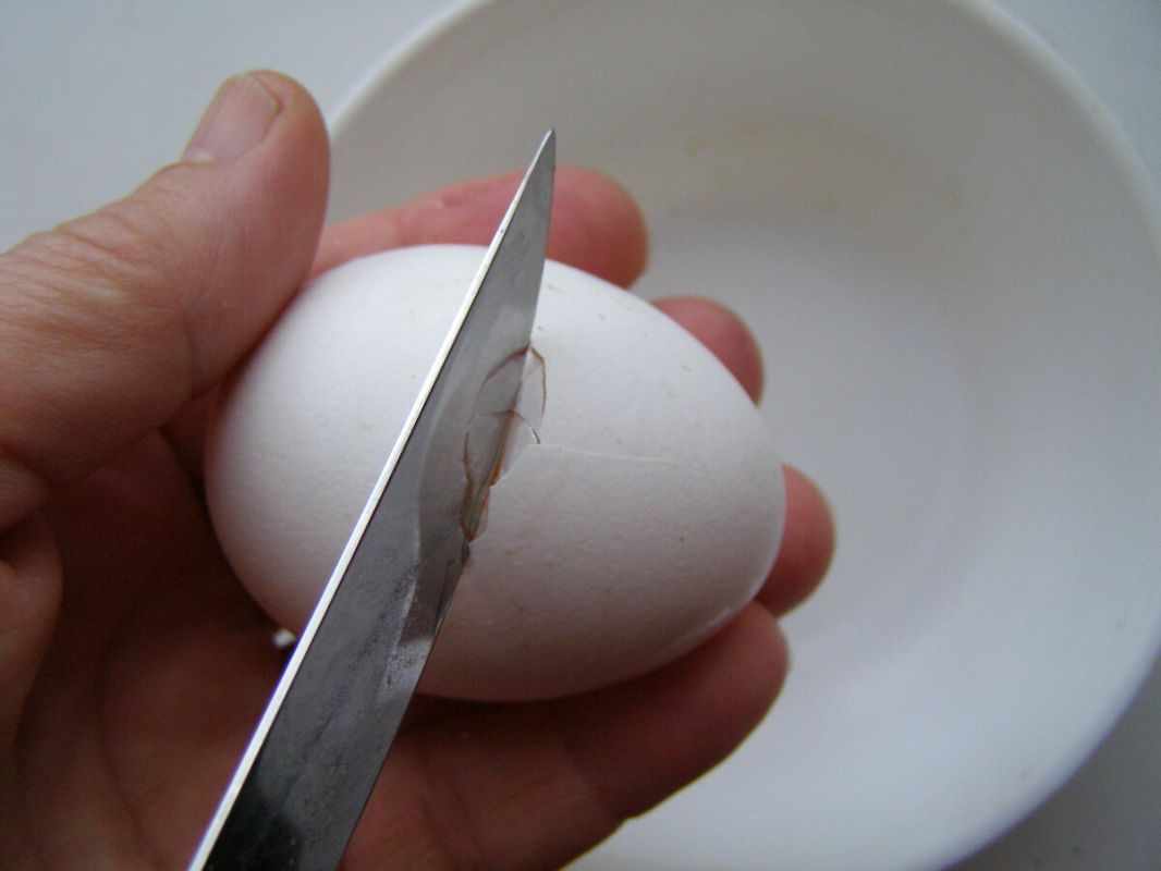 Как приготовить яйцо пашот без уксуса: три легких способа