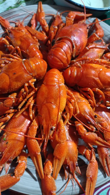 ��������� ����: ������� �������������, ������� ������ ����� ������ ������