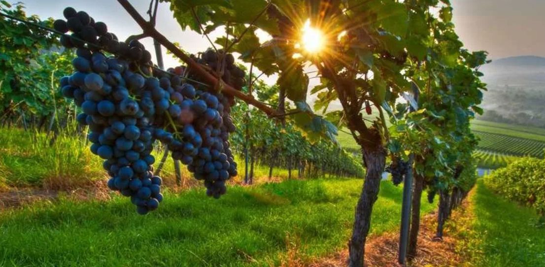 ������: ������� � ����������� ������