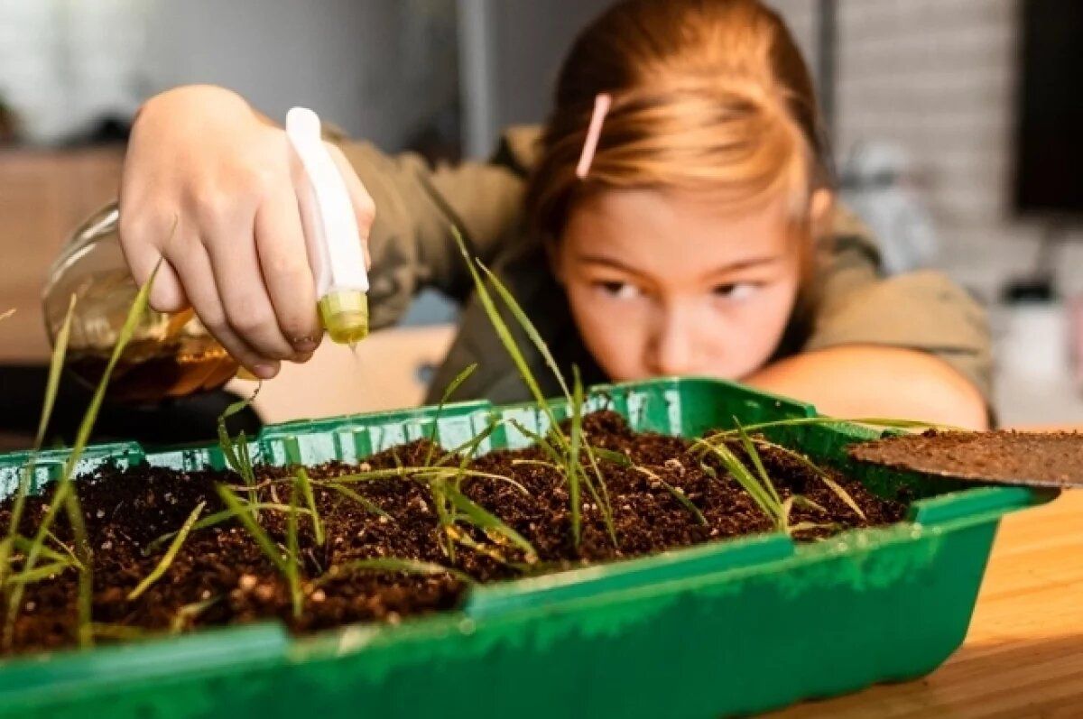 ������������ ������ ��� ������ �����������: ��� ����� ��������� � ��������