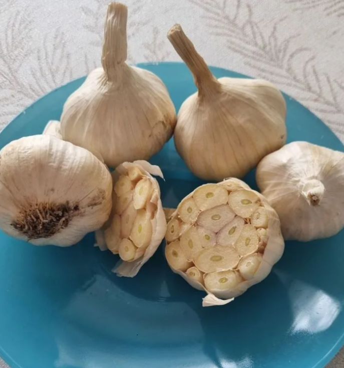 �������� ������ ������ ���: ������� � ��������� ������ �������� ������