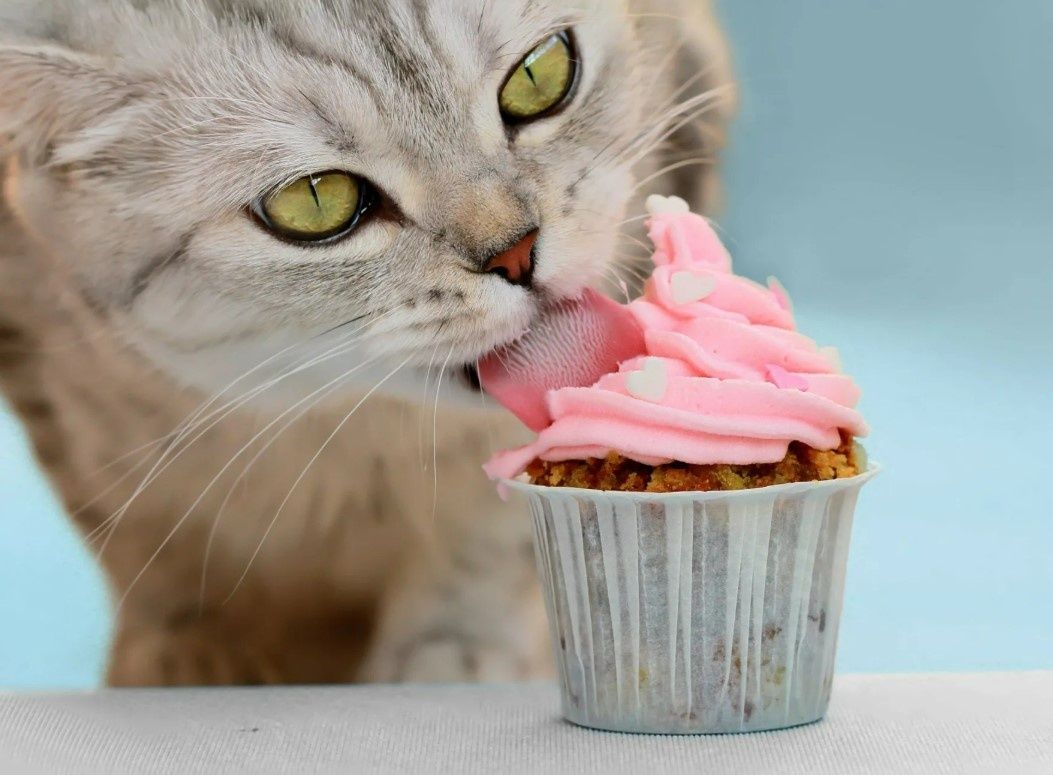 �������� ��� ����������: � ��� ����� �� ��������� � �����