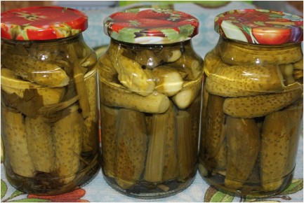 ��� ������������ ��������� ������ � ���������� �� ����