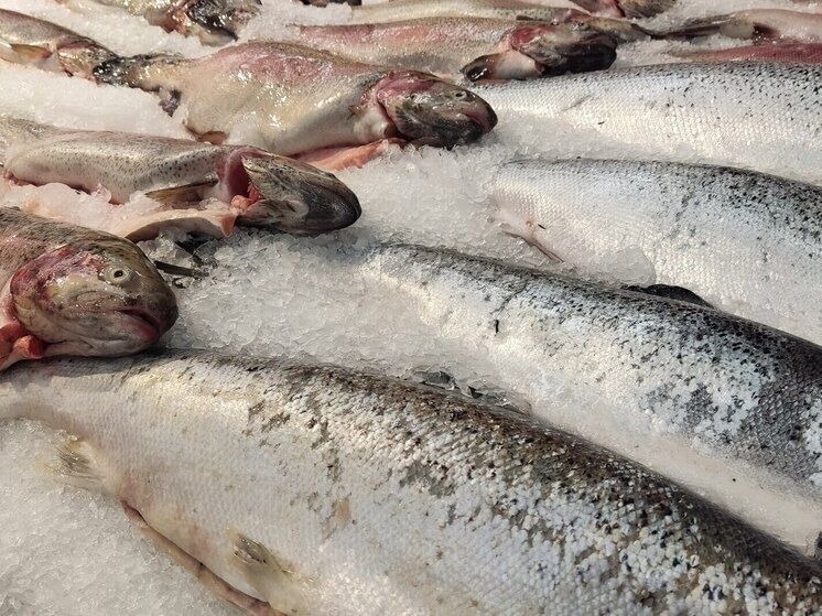 ��������� ����: ����������� ��������� ������ ��������� �� �������� �����