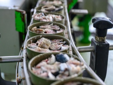 ����������� ��������� �������� ������: ��� �������� � �������?