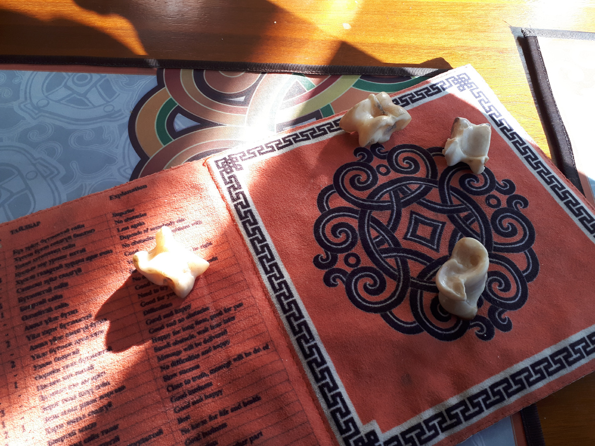 Вкус кочевника: первое встреча с монгольской кухней