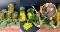 Необычные способы сохранить огурцы на зиму