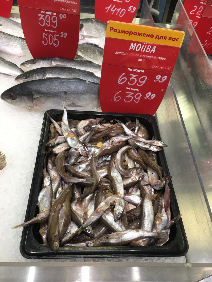 Ряпушка: новый взгляд на бюджетный деликатес