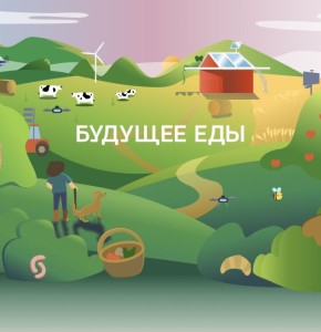 ���� ��� ����������: ��� �������� ��� ����������� ���?