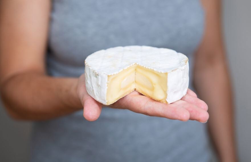 В Заокском районе выявлены проблемы с сыром на предприятии «Ненашево-Милк»