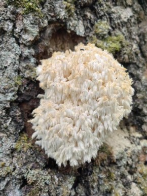 � �������� ������ ���������� ������ ���������� ���� �� ������� �����