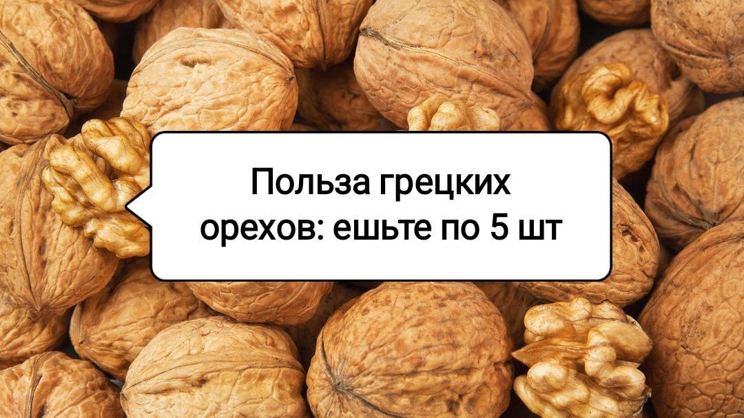 ���� ������� ������ � ����: ����������� ������������ ��� ��������