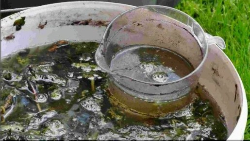 ��� ��������� ����������� ����� � ����� �������