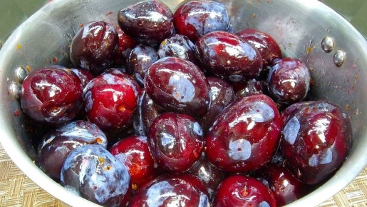 �������� ��� ���� � ��������: 7 ��������� ��� ������ ������������