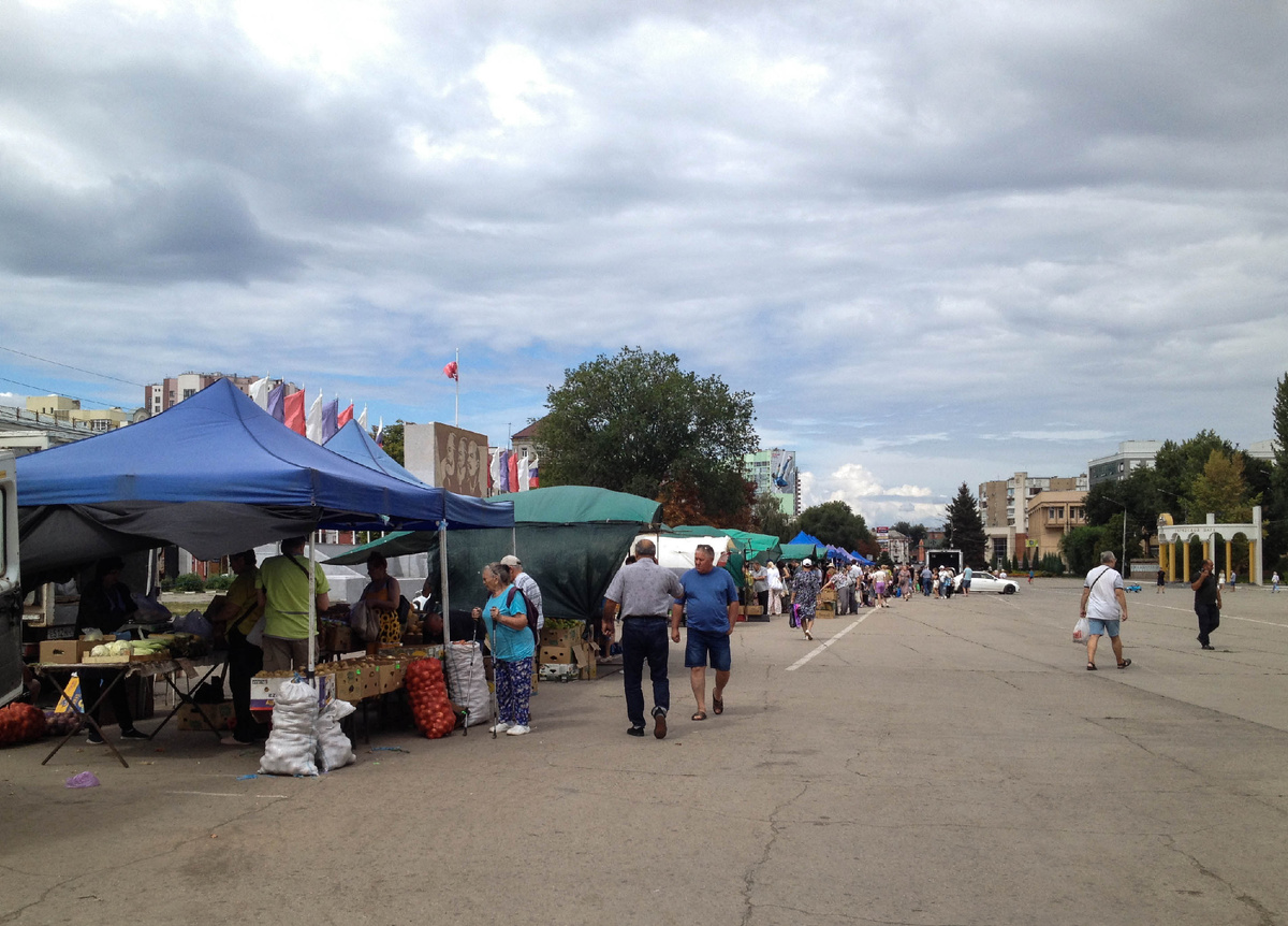 Цены на овощи: как выглядит ярмарка выходного дня в Энгельсе