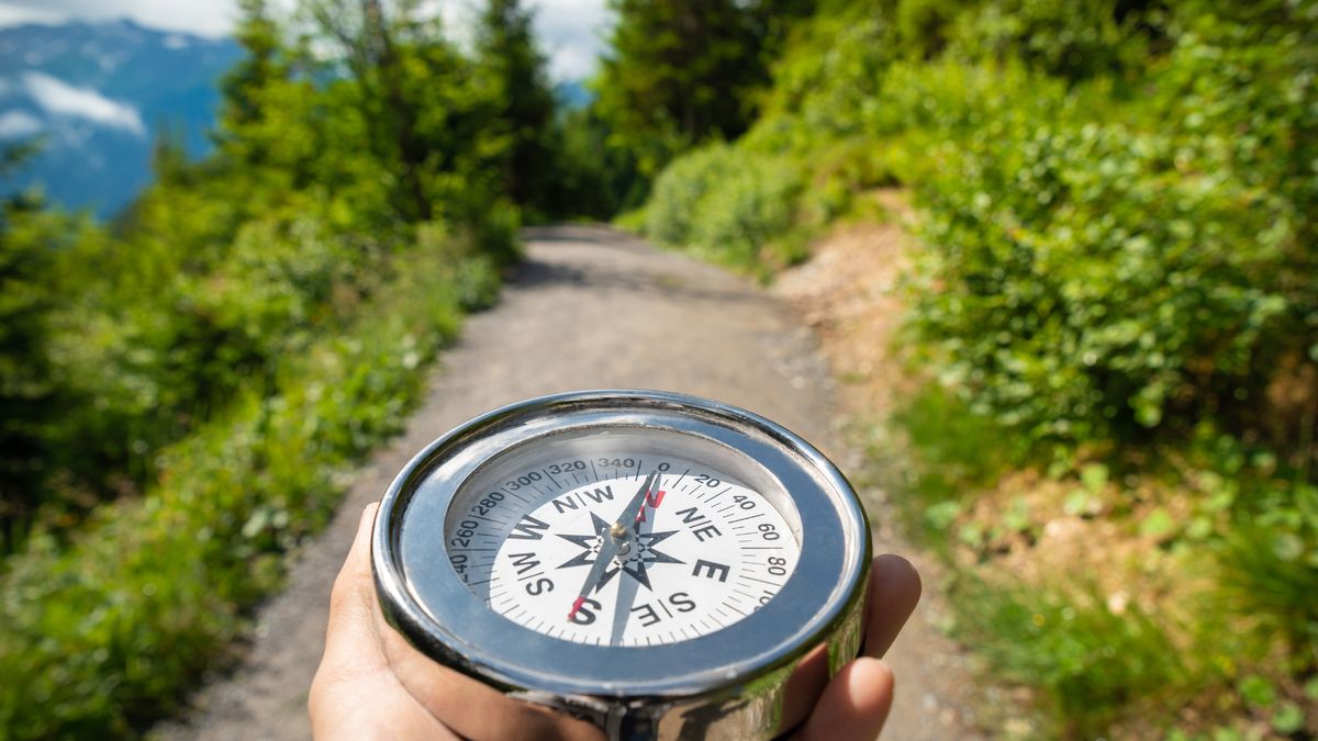 ����������: ���������� ����, ��������� ���������