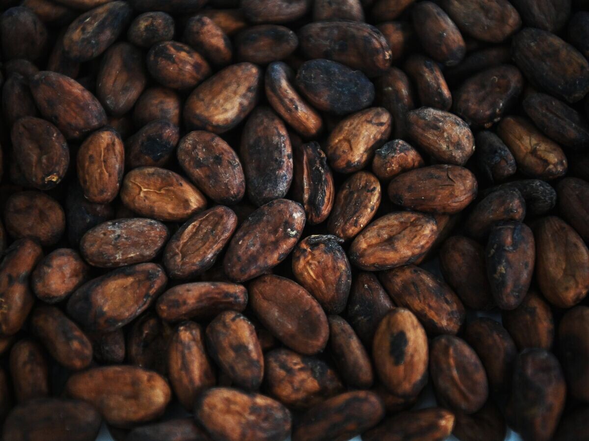 Цены на какао-бобы упали ниже 3100 долларов за тонну