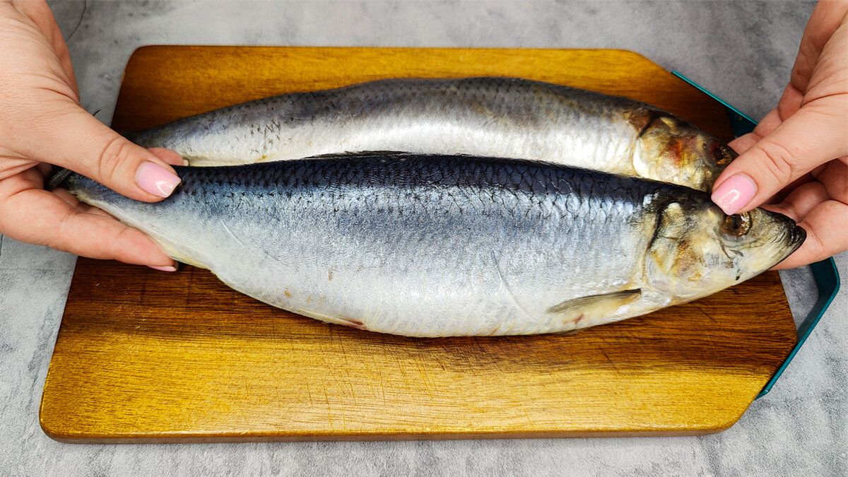 ��� ����������� ��������� ����������� ������ �� 24 ����