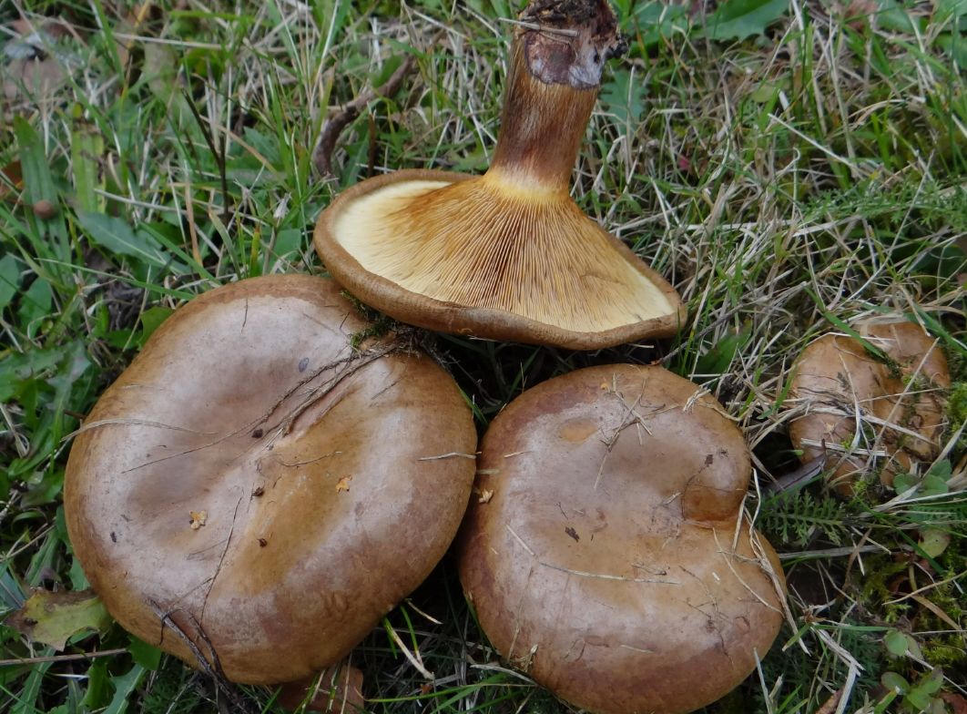 ��� ��������� ������������ ��������: ��� �� ����� � �������� �����