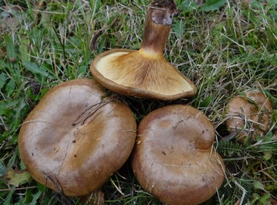 ��� ��������� ������������ ��������: ��� �� ����� � �������� �����