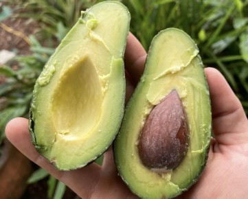 �������: ���������� ����� � ���������� ��������� ����������