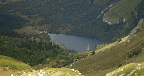 ���������� ����� ��������: ��������� �������, ������� ������������