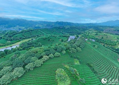 ��� � �������: ���� � ���������� � �������� ������